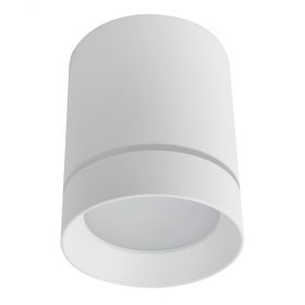 Накладной светодиодный светильник Arte Lamp Elle A1909PL-1WH