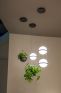 Подвесной светильник ImperiumLoft Palma шар + вазон фото