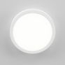 Настенно-потолочный светильник Citilux Галс CL5522N фото