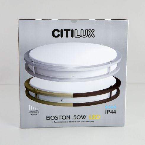 Потолочный светильник Citilux Бостон CL709503N фото
