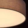 Потолочный светильник MW-Light Дафна 453011301 фото