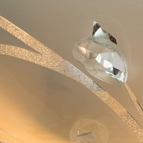Светильник настенно-потолочный Arte Lamp Jasmine A4040PL-2CC фото
