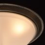 Потолочный светильник MW-Light Ариадна 450015503 фото