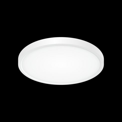 Светильник накладной Citilux Бейсик CL738240V белый фото