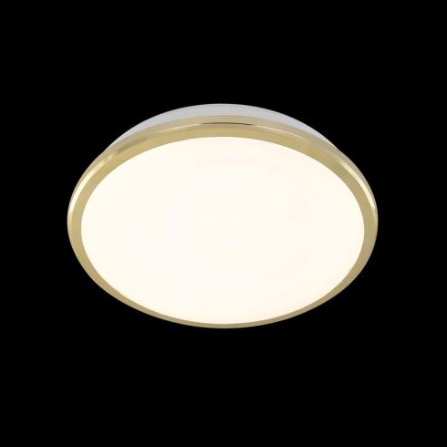 Светильник настенно-потолочный светодиодный влагозащищённый Citilux Луна CL702162W золото фото