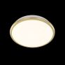 Светильник настенно-потолочный светодиодный влагозащищённый Citilux Луна CL702162W золото фото