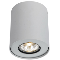 Накладной потолочный светильник Arte Lamp Falcon A5633PL-1WH