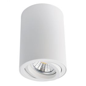 Накладной точечный светильник Arte Lamp Sentry A1560PL-1WH