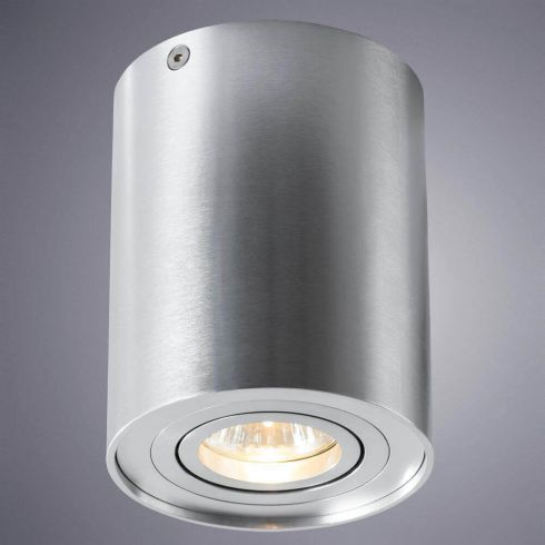 Накладной светильник Arte Lamp A5644PL-1SI фото