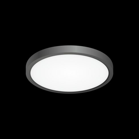 Светильник накладной Citilux Бейсик CL738181V черный фото