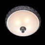 Потолочный светильник Chiaro Версаче 254015304 фото