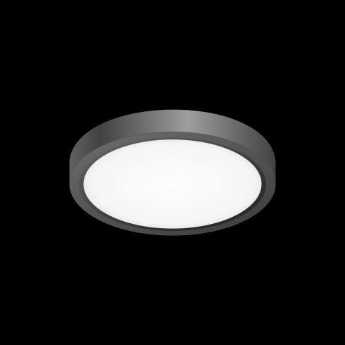 Светильник накладной Citilux Бейсик CL738121N черный фото