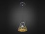 Подвесной светильник Citilux Орегон CL508112 черный + золото фото