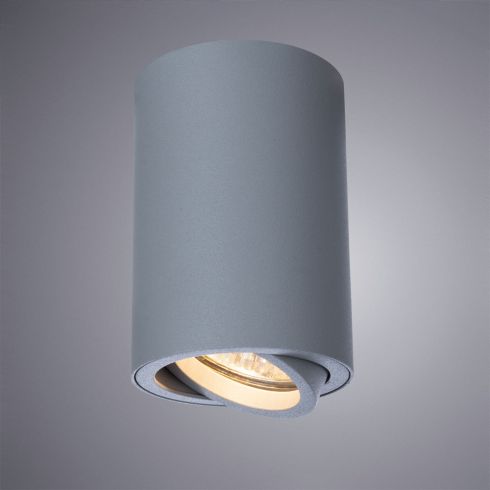 Накладной точечный светильник Arte Lamp A1560PL-1GY фото