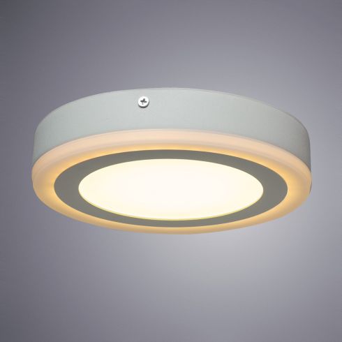 Светильник настенно-потолочный светодиодный Arte Lamp Antares A7816PL-2WH фото