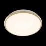 Настенно-потолочный светодиодный светильник влагозащищённый Citilux Луна CL702222W золото фото