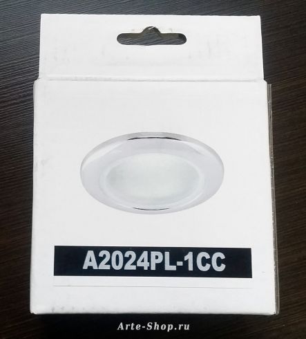 Встраиваемый светильник для ванной Arte Lamp Aqua A2024PL-1CC фото