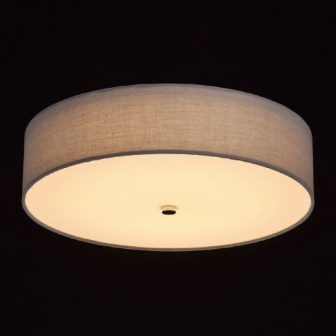 Потолочный светильник MW-Light Дафна 453011401 фото