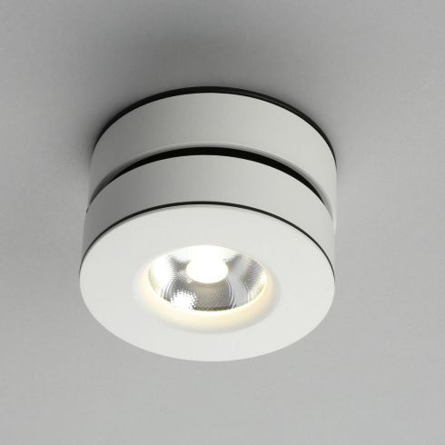 Накладной светодиодный светильник Omnilux Borgetto OML-101909-12 фото