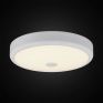 Потолочный светодиодный светильник Citilux Фостер-1 CL706130 белый фото