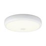 Потолочный светодиодный светильник Citilux Фостер-3 CL706330 белый фото