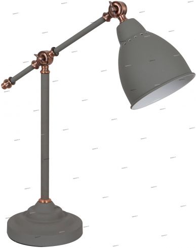 Настольная лампа Arte Lamp Braccio A2054LT-1GY фото