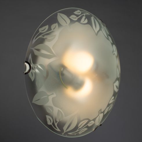 Настенно - потолочный светильник Arte Lamp Leaves A4020PL-2CC фото