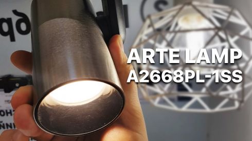 Трековый светильник Arte Lamp Bucho A2668PL-1SS фото