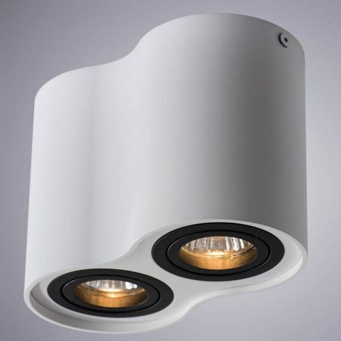 Накладной светильник Arte Lamp A5644PL-2WH фото