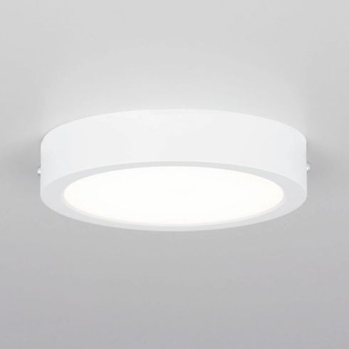 Настенно-потолочный светильник Citilux Галс CL5516N фото