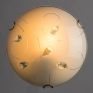 Светильник настенно-потолочный Arte Lamp Merida A4045PL-1CC фото