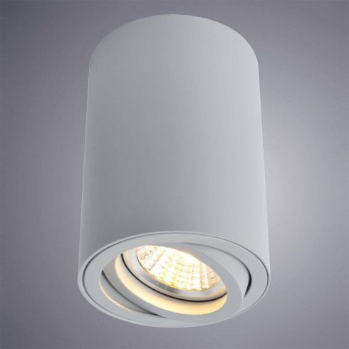 Накладной точечный светильник Arte Lamp A1560PL-1GY фото