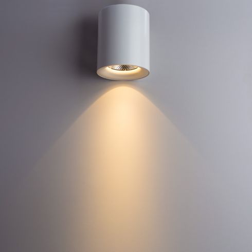 Светильник накладной светодиодный Arte Lamp Facile A5130PL-1WH фото