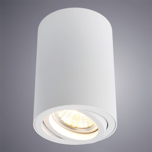 Накладной точечный светильник Arte Lamp Sentry A1560PL-1WH фото