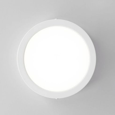Настенно-потолочный светильник Citilux Галс CL5516N фото