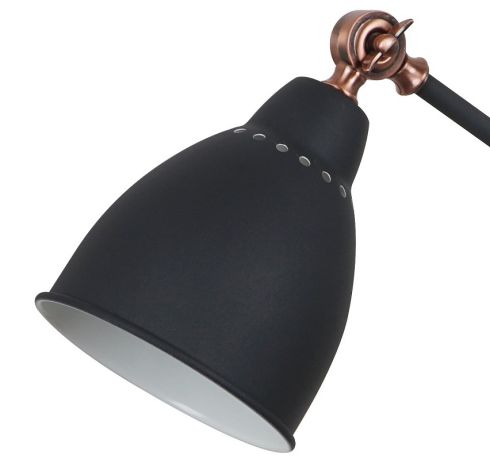 Настольная лампа Arte Lamp Braccio A2054LT-1BK фото