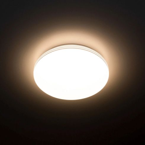Потолочный светильник с датчиком движения Citilux Симпла CL71424SV фото