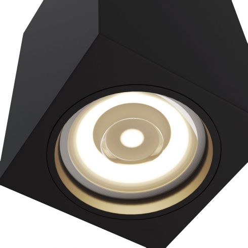 Накладной светильник Maytoni Alfa C011CL-01B фото