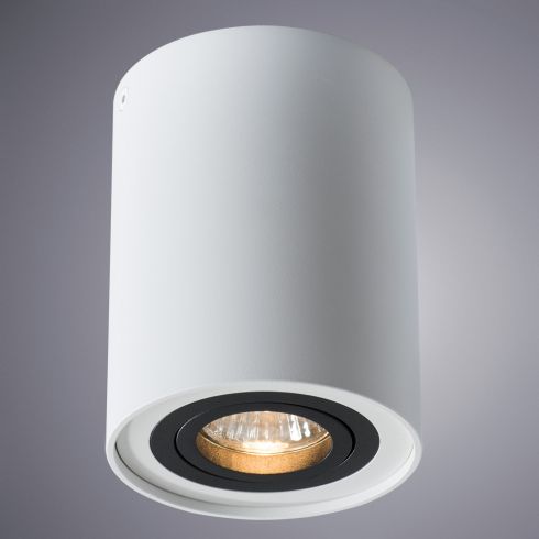 Накладной светильник Arte Lamp Falcon A5644PL-1WH фото