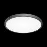 Светильник накладной Citilux Бейсик CL738321V черный фото