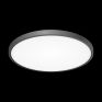 Светильник накладной Citilux Бейсик CL738401V черный фото