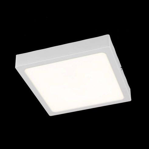 Настенно-потолочный светильник Citilux Галс CL55K22N фото