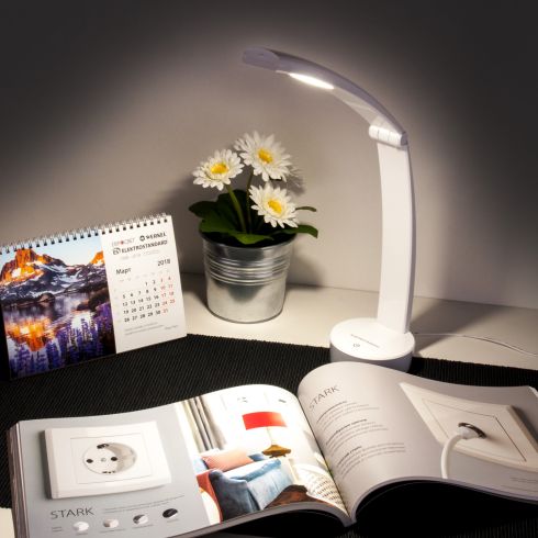 Настольный светодиодный светильник Elektrostandard Rizar белый (TL90500) фото