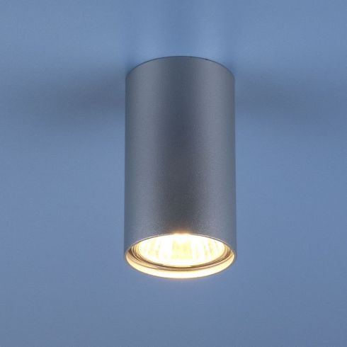Накладной точечный светильник Elektrostandard 1081 (5257) GU10 SL серебряный фото