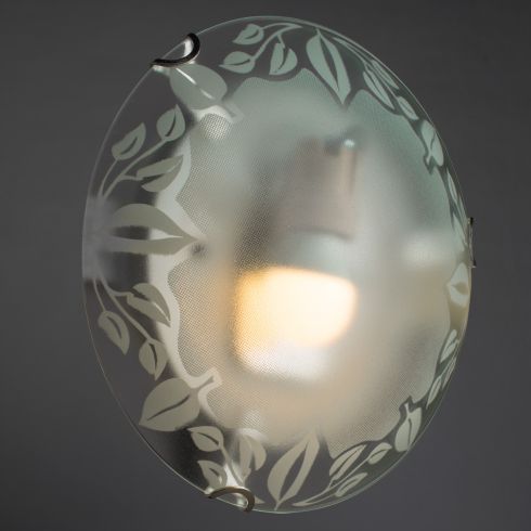 Настенно - потолочный светильник Arte Lamp Leaves A4020PL-1CC фото