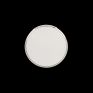 Светильник настенно-потолочный светодиодный влагозащищённый Citilux Луна CL702221W хром фото