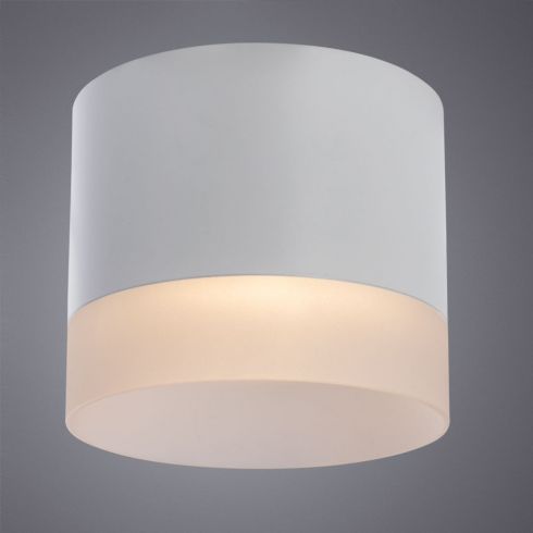 Накладной светильник Arte Lamp Castor A5554PL-1WH фото